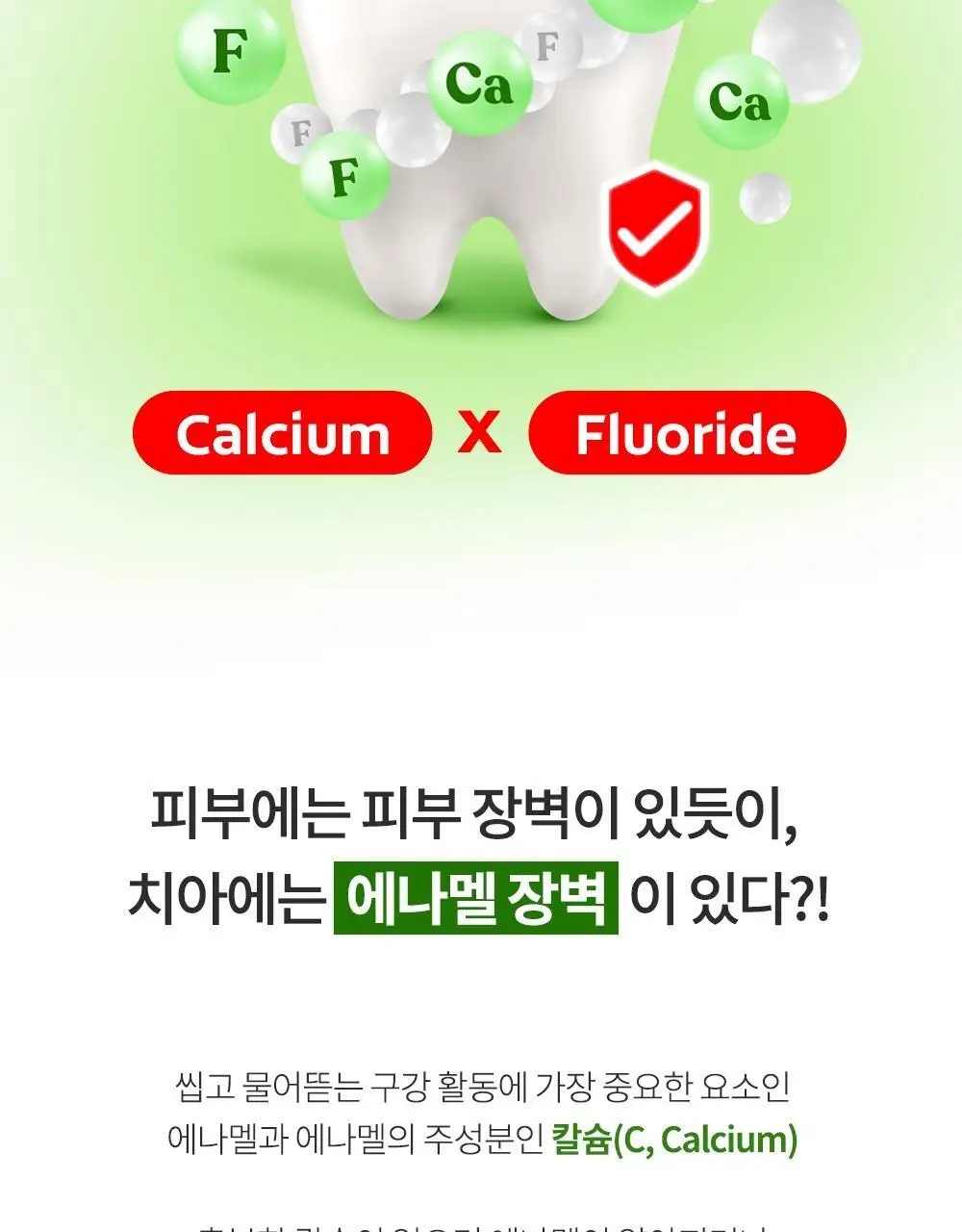 [고불소] 콜게이트 맥시멈 캐비티 프로텍션 레귤러 치약 100g 상세페이지 10